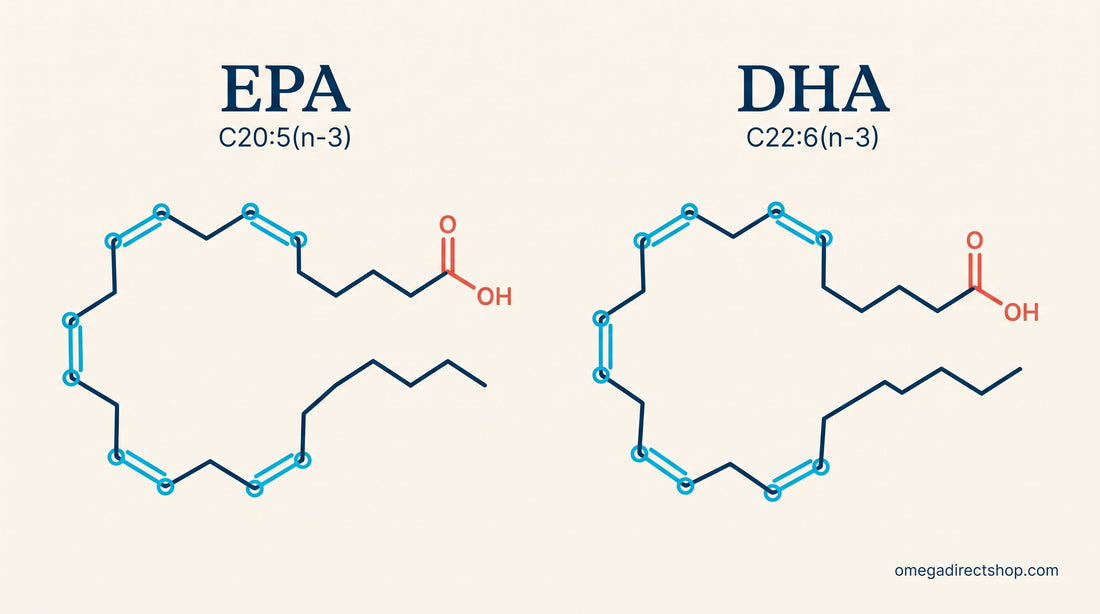 EPA vs DHA molecular structure comparison — C20:5 and C22:6 diagrams