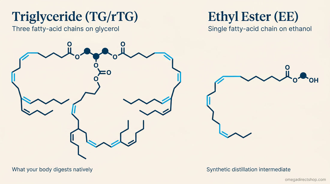 Triglyceride vs ethyl ester fish oil — molecular structure comparison