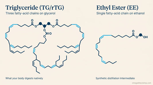 Triglyceride vs ethyl ester fish oil — molecular structure comparison